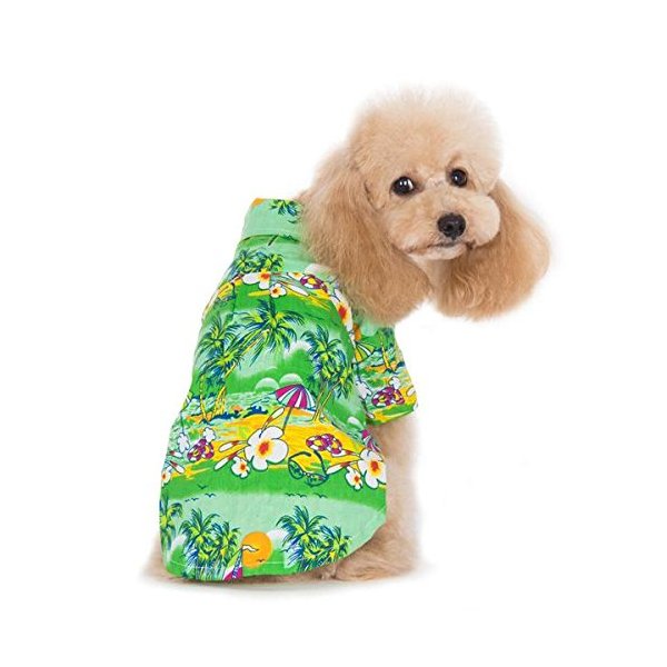 Dogo Tropical Island Dog Shirt - Green - Small