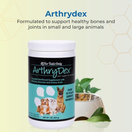 YOUNGEVITY Arthrydex Complete Nutritional Supplement | Vitamins Amino Acids Enzymes | Pets Healthy Bones -1 lb Canister