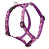 LupinePet Originals 3/4" Rose Garden 12-20" Adjustable Roman Dog Harness for Small Dogs