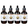 Vitex Liquid Extract, Organic Vitex (Vitex Agnus-Castus) Tincture, Herbal Supplement, Hawaii Pharm, Made in USA, 4 fl.oz