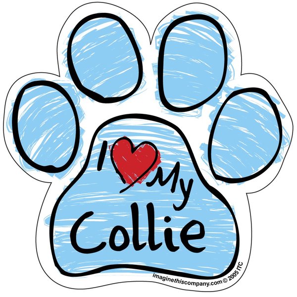 Imagine This Scribble Paw Magnet, Collie