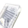 Premade Fans Eyelash Extensions Mixed Tray 5D | Volume Lash Extensions Fans 12 Lines Mix Length 9 - 15mm, Thick 0.1, Curl D | The Rena Fan Lashes