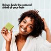SoapFactory Organic Shampoo Bar Set for Men and Women, 100% Natural, Variety Pack of Hair Soaps with Charcoal, Lemongrass, Aloe Vera, Tea Tree and Rosemary, Vegan (5 Pack)