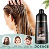 Light Brown Hair Dye Shampoo 3 in 1 Coconut Hair Color Shampoo for Men Women Gray Hair Coverage - Herbal Brown Shampoo Colors, Long Lasting Brown Hair Dye 16.9 Fl Oz (Light brown)