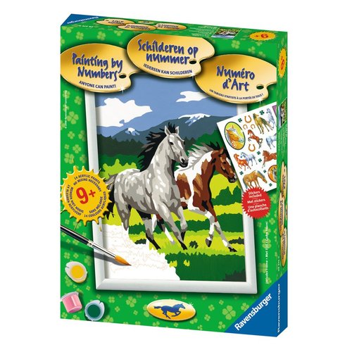 Fun At A Gallop Paint By Numbers