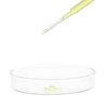 EISCO Petri Dish, 3.15" (80mm) - Beaded Edges Easy to Sterilize for Repeated Use Borosilicate Glass- Eisco Labs