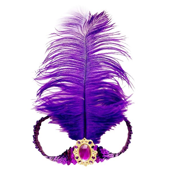 XKTEI 2 Pieces Feather Headpiece,Sequins 1920s Flapper Headband,Mardi Gras Carnival Party Headwear Costume Accessory,Girls Women (Purple, Free Size)