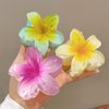 3pcs Frangipani Flower Acrylic Hair Clip for Women Summer Flowers Hair Accessories Yellow Blue Pink Floral Hair Claw Clips Hawaii Hair Barrettes Alligator Clips for Thick Hair and Thick Hair