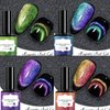 6Pcs Cat Eye Magnet Nail Polish Set, Rainbow Nail Polish Set, Cateye Gel Nail Polish Gift kit, Long Lasting Nail Polish for Women, Liquid Shiny Gel Polish, Bright Color Gel Nail Polish