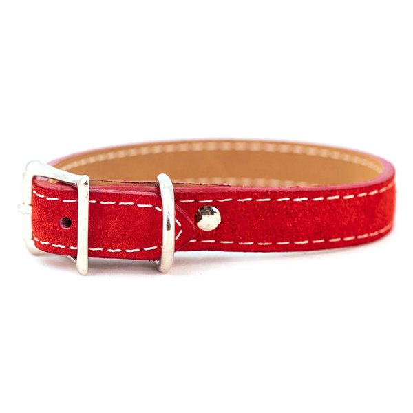 Auburn Leathercrafters Saratoga Suede Dog Collars-Red-3/8" x 8"