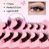 7 Pairs Manga Lashes Wet Look 18mm Flu-ffy D Curl Lashes Cat-Eye Lashes Volume Spiky Lashes Wispy Fairy Lashes Faux Mink False Eyelashes Japanese Korean Lashes(SJ02)