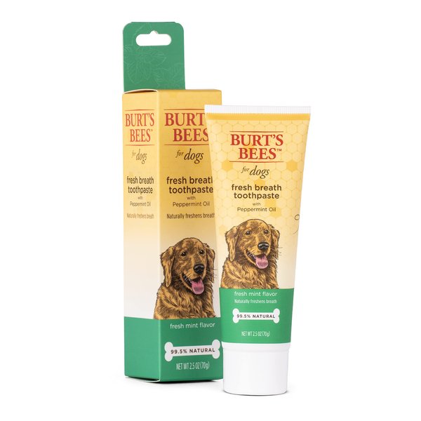 Burt's Bees for Pets Fresh Breath Toothpaste for Dogs with Peppermint Oil | 99.5% Natural Dog Toothpaste in Fresh Mint Flavor to Naturally Freshen Dog Breath | Dog Oral Care Dog Toothpaste, 2.5 Oz