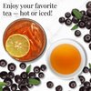 The Republic of Tea Acai Berry Green Tea - Caffeinated Superfruit - Natural Healthy Herbal Tea - Anti-oxidant, Gluten-Free - Acai Green Tea - 50 Tea Bags