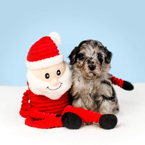 ZippyPaws Holiday Crinkle - Squeaky Plush Dog Toy (Santa, Small)