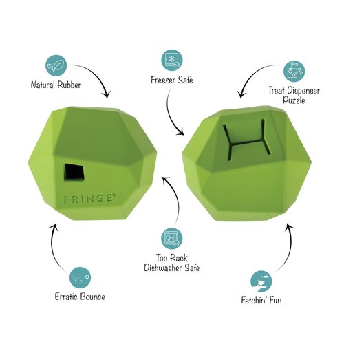 Fringe Studio "Having A Ball Lime Rubber Dog Toy, Pet Shop Collection (518022)