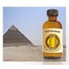 Egyptian Musk Scented Oil - 60 ml