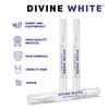 Divine White Snow Teeth Whitening Gel Pen with Brush Tip Applicator Includes 36% Carbamide Peroxide | Compact Design, Travel Friendly, Beautiful White Smile, Oral Care Teeth Whitening Pen, Pack of 3