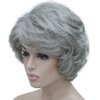 Lydell Women's Short Curly Wavy Wig Synthetic Hair Full Wig 6 inches (51 Silver Grey)