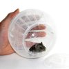 Hamster Exercise Ball Silent Hamster Wheel Small Animals Transparent Ball for Dwar Rat Relieves Boredom and Increases Activity (4.8 inch, Clear)