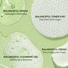 Torriden BALANCEFUL Cica Trial Kit, Gotu Kola Infused Daily Skincare Kit - 4 Step Regimen with Cleansing Gel, Toner Pad, Serum, and Cream | Vegan, Hypoallergenic Korean Skin Care