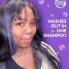 Fun In by Sun In, Temporary Hair Color Brush In System, Purple - 1 oz