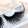 Elegant Lashes QUEENIE | Halloween Pride Rainbow colorful parade false eyelashes (Black)