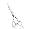 Professional Hair Thinning Scissors Japanese Stainless Steel Texturizing Shears Barbers Hairdressing Scissors for Men and Women (Silver-02A)