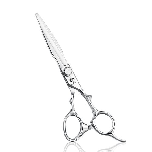 Professional Hair Thinning Scissors Japanese Stainless Steel Texturizing Shears Barbers Hairdressing Scissors for Men and Women (Silver-02A)