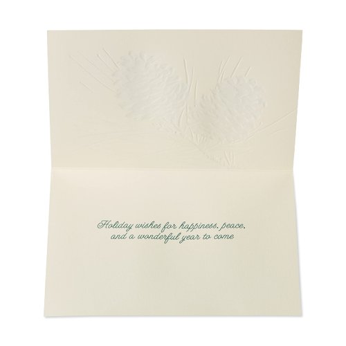 Papyrus Holiday Cards Boxed with Envelopes, Wonderful Year to Come, Pinecones (14-Count)