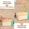 CURIOUS CRATE Magnetic Bird Feeder & Worm Catcher | Wooden Montessori Early Learning Toy for Toddlers | Developmental Toy for Fine Motor Skills & STEM Learning | Gifts for Kids Ages 2+ Years