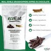 Edible Bugs Dark Chocolate Covered Grasshoppers by ecoEat – 11g Pack - Edible Insects Candy Grasshoppers - Snack Food Gifts