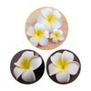 Hawaiian Flower Hair Clips Plumeria Hair Barrettes Clip for Women Girls White Floral Hairpins for Summer Beach Hair Accessories 3pcs