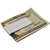 GIFTS INFINITY Brush Silver Metal Personalized Metal Money Clip Free Engraving … (Silver)
