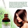 Rosemary Oil for Hair Growth, 100% Organic Pure Natural Rosemary Essential Oil with Scalp Massager for Improves Blood Circulation, Body Massage, Nourishes The Scalp, Reduce Hair Loss 2.02 fl.oz
