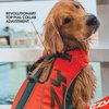 EzyDog DFD X2 Boost Dog Flotation Device - Adjustable Swim Life Jacket Preserver with Reflective Trim - Durable Grab Handle for Safety and Protection (2XS, Red)