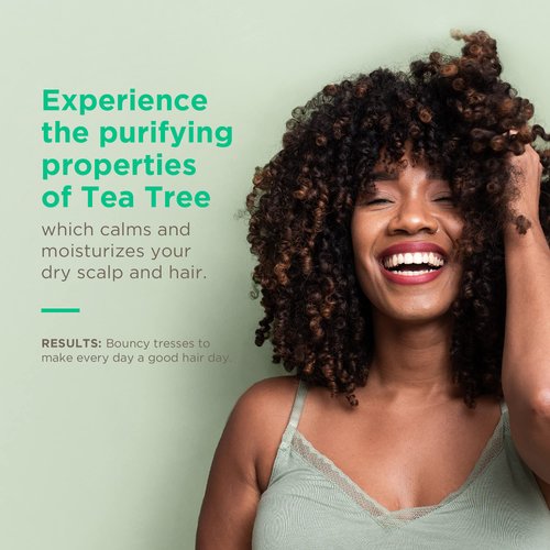 Soap Box Tea Tree Soothing Hydration Hair Mask Sachet - Purifying and Hydrating with Tea Tree Oil and Shea Butter, Paraben & Sulfate Free, Gluten Free, Vegan- 1.75oz (Pack of 6)