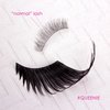 Elegant Lashes QUEENIE | Halloween Pride Rainbow colorful parade false eyelashes (Black)