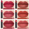 evpct DNM 6Pcs Red Silky Velvet Matte Lipstick Set for Women Permanent Long Lasting 24 Hours Color Stay Maroon Lipstick Waterproof lip crayon