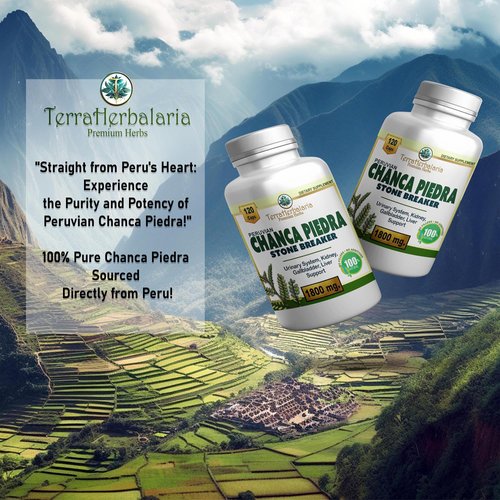 Chanca Piedra Stone Breaker | Made in USA with Premium Chanca Piedra from Peru | 1800 mg | Stone Dissolver Crusher, Kidney & Gallbladder Support | Liver Support, Flush,120 Vegetarian Soft Capsules