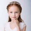 Ideal Swan Flower Girl Hair Accessory, Pearl Headband Princess Wedding Headpiece Crystal Headwear for Wedding Tiara Hair Pieces Baby Girl-Suitable for Shows, Children' Day(White)