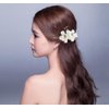 inSowni 8 Pack Hawaiian Luau Party Wedding Bridal Headpiece Artificial Fake Silk Hibiscus Flower Gold Hair Side Combs Clips Pins Barrettes for Women Girls Brides