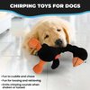 SPOT Ethical Plush Chirpies Assorted Birds 14-Inch Dog Toy
