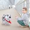 KESOTO 12PCS Walking Cute Animal Balloons for Kids Animal Theme Party, Birthday Party Supplies