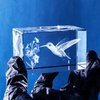 YWHL 3D Crystal Hummingbird Gifts for Women Man, Laser Engraved Hummingbird Figurines with Light Base for Hummingbird Lovers Nature Lovers, Gifts for Birthday Christmas