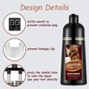 Blonde Brown Hair Dye 16.9 Fl Oz, Argan Oil Blonde Brown Hair Shampoo, 3 in 1 Hair Dye Shampoo, Easy To Use, Semi-Permanent Hair Color Shampoo (Blonde Brown)