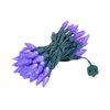 ‎‎‎Novelty Lights 24FT 70 LED C6 LED Christmas String Lights, Outdoor Christmas Tree Commercial Grade LED String Lights, Permanent Christmas Lights Outdoor Tree Decorations Outdoor (Purple)