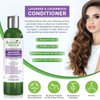 Hair Growth/Anti-Hair Loss Sulfate-Free Shampoo “Lavender & Cedarwood”. Alopecia Prevention and DHT Blocker. Doctor Developed. NEW 2018 FORMULA!