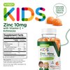 Zinc for Kids Gummies 10mg, with Vitamin C & Echinacea for Kids - Immune Support, Powerful Natural Antioxidant, Kids Zinc Vitamin Supplement - Vegan, Gelatin Free - Tasty Chewable Orange Flavor Gummy