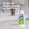 Soft Scrub Cleanser with Bleach Surface Cleaner, Kills 99.9% of Germs, 24 Fluid Ounces