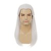 Dai Cloud White Straight Wigs for Men Halloween Costume Wig Long White Straight Male Hair Cosplay Anime Wig for Party